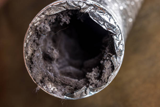 Air Duct Mold Removal in GA