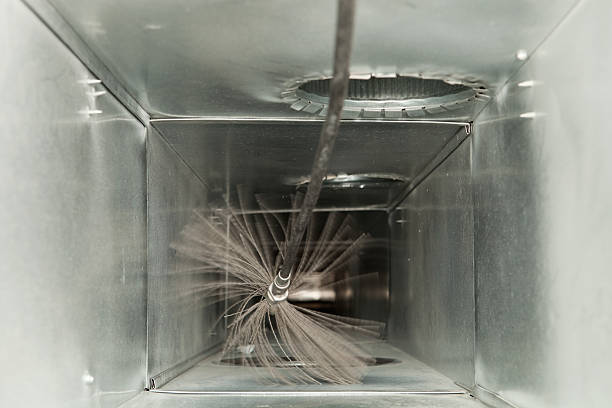 Best Air Duct Mold Removal  in Suwanee, GA