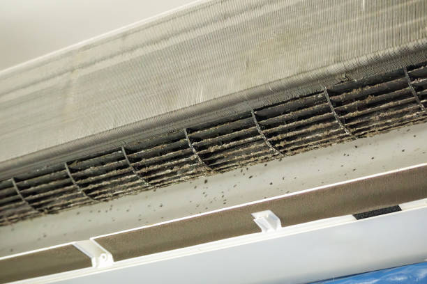 Best Air Duct Cleaning Near Me  in Suwanee, GA